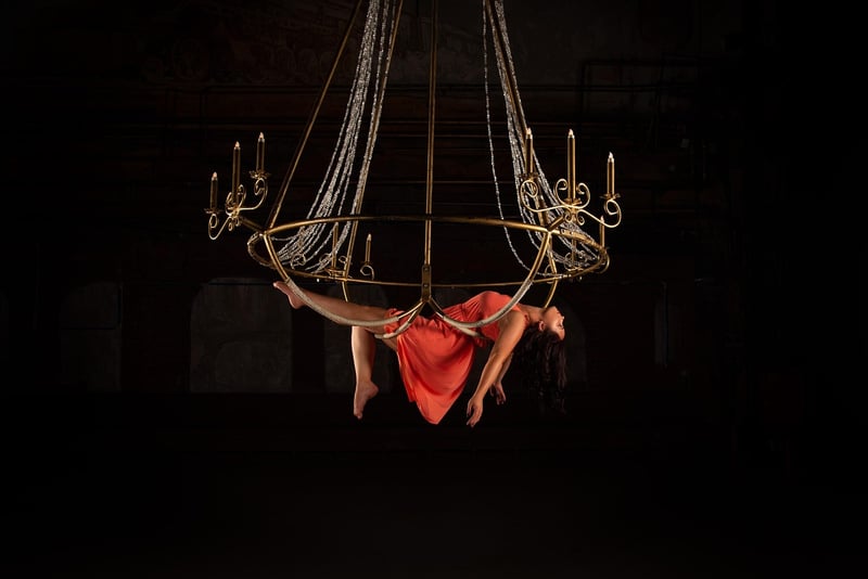 Aerial Acrobatics